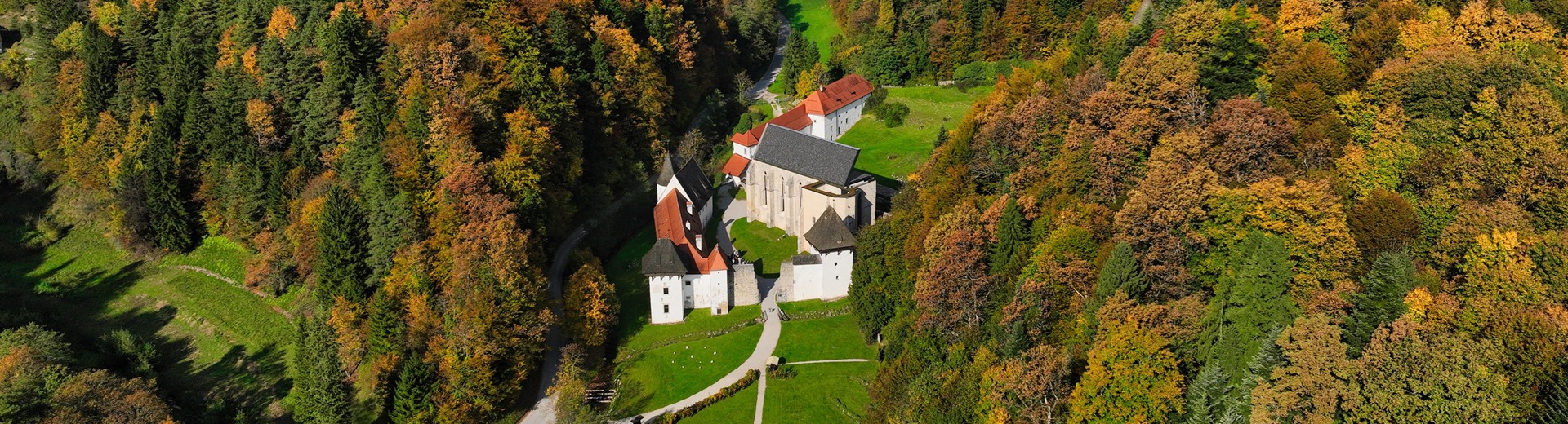 Žička katruzija-jeseni