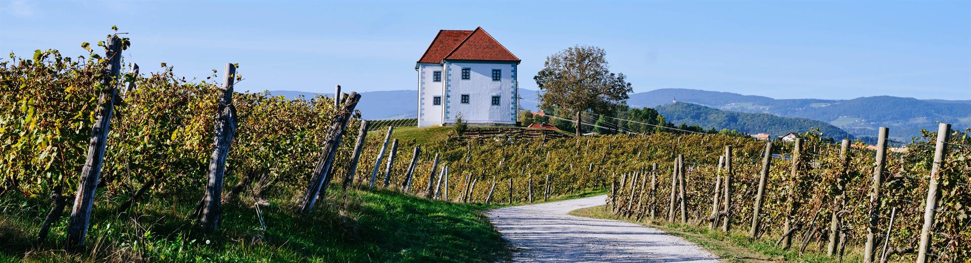 Škalče