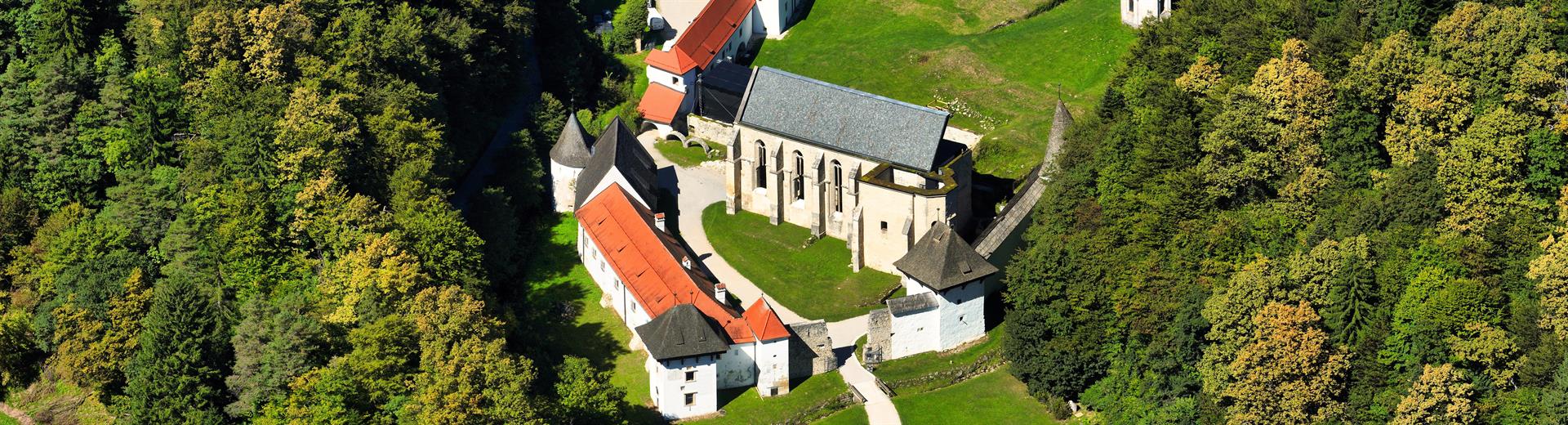 Žička kartuzija-pozno poleti