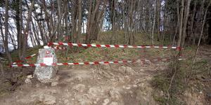 IMG_20200331_160151