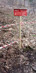 IMG_20200331_162725